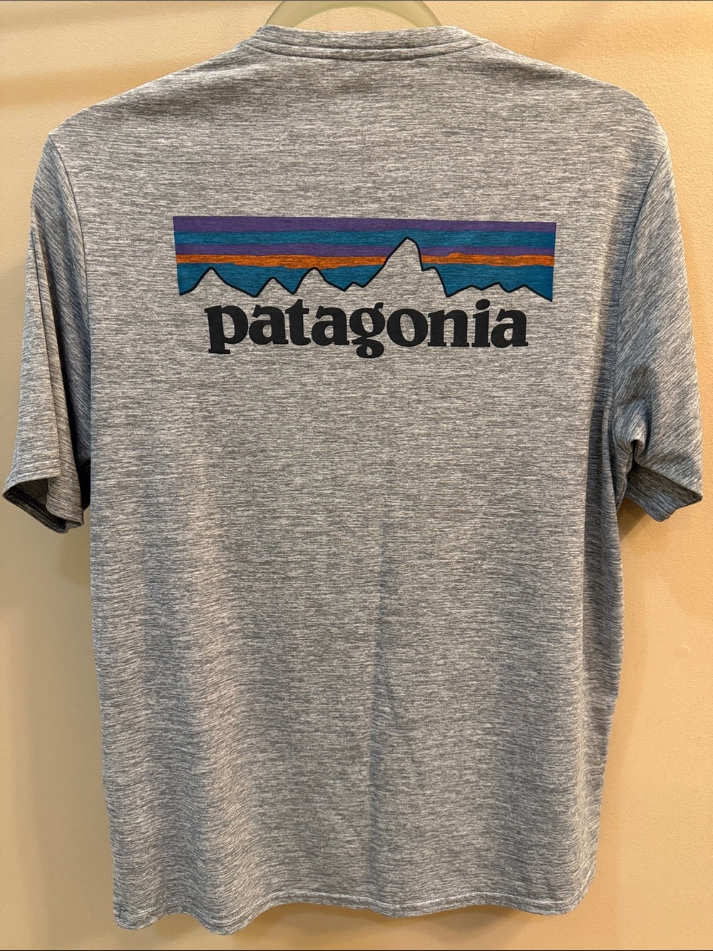 Patagonia Heather Gray Short-Sleeve Crew Tee